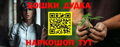 сатива Краснознаменск