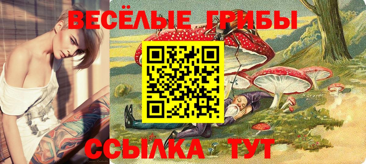 Ханты-Мансийск  Галлюциногенные грибы мицелий  Псилоцибиновые грибы прущие грибы  Вход с VPN 